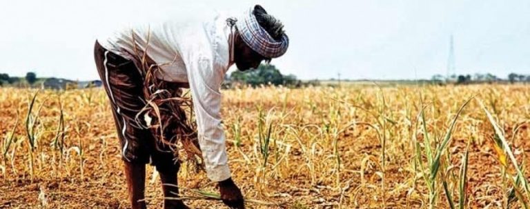 AID FARMERS